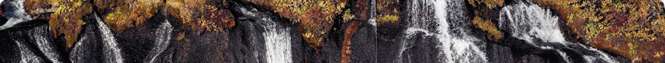 topbanner-demo